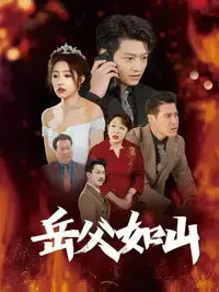 《岳父的礼物》：温馨感人的家庭喜剧，笑中带泪！