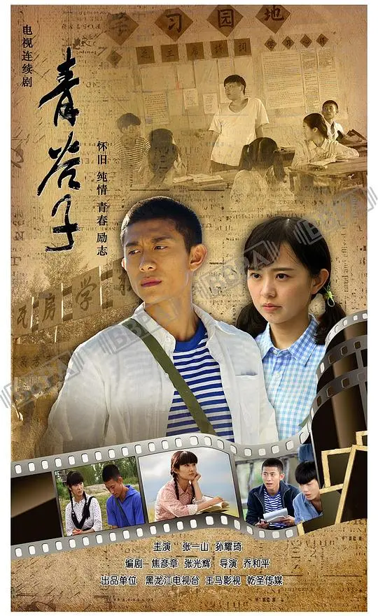 揭开神秘青谷子的惊险冒险之旅